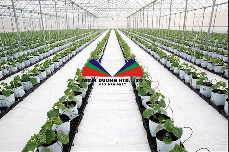 bạt trải nền nhà màng nhà kính